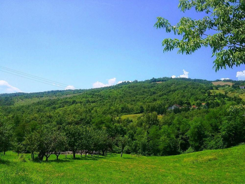 Il Mio Rifugio Guest House Gaggio Montano Exterior foto